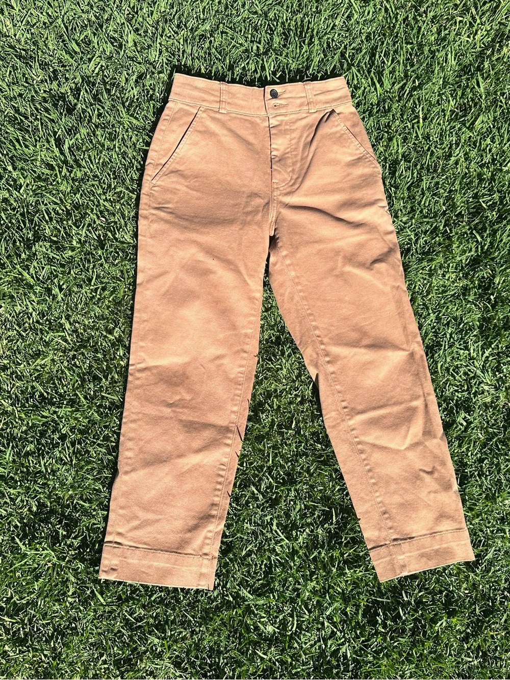 Everlane Organic Cotton Tan Pants